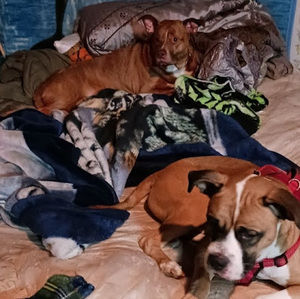 Meet your Posher, Mike